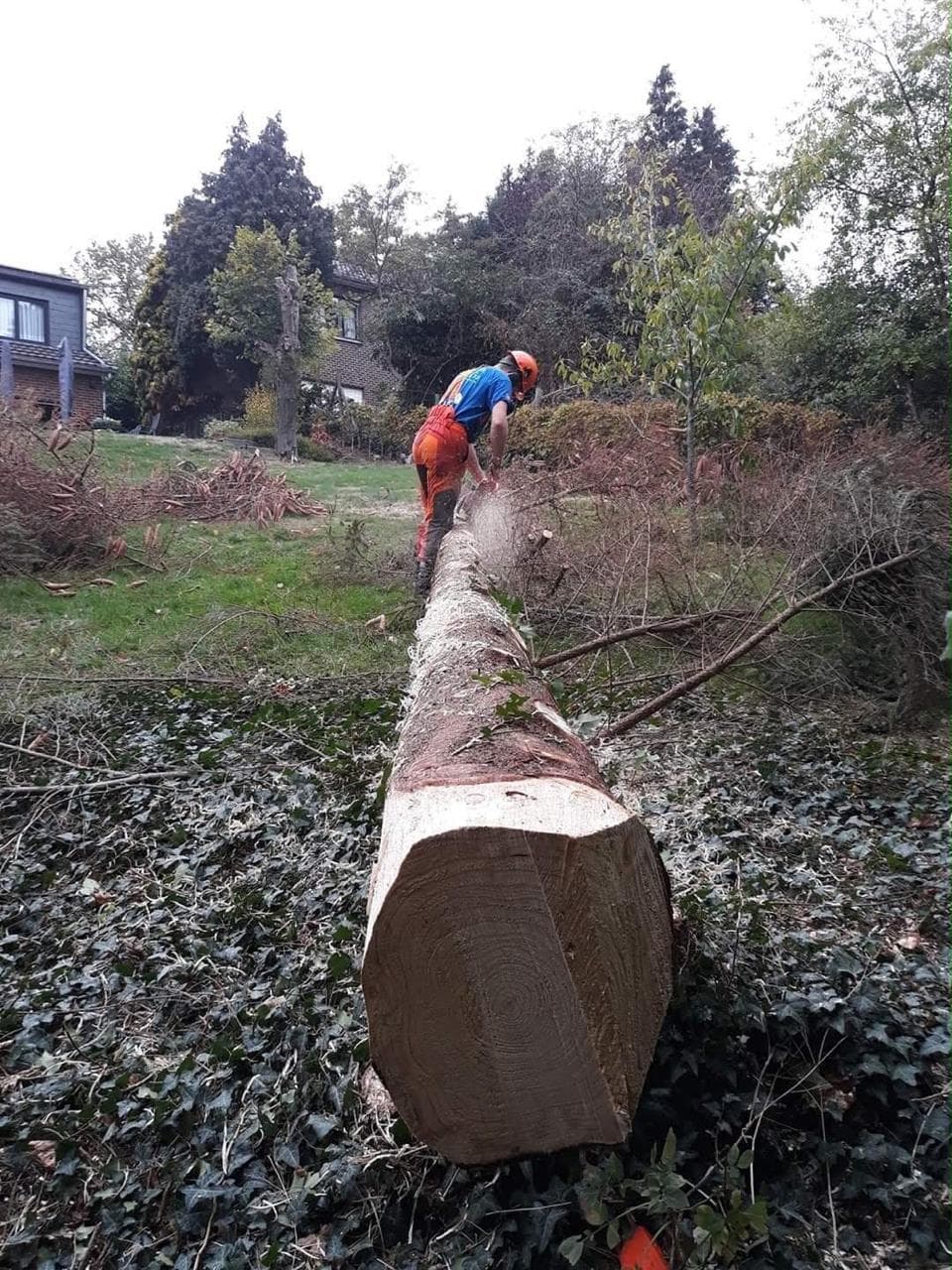 Remise en état d'un jardin