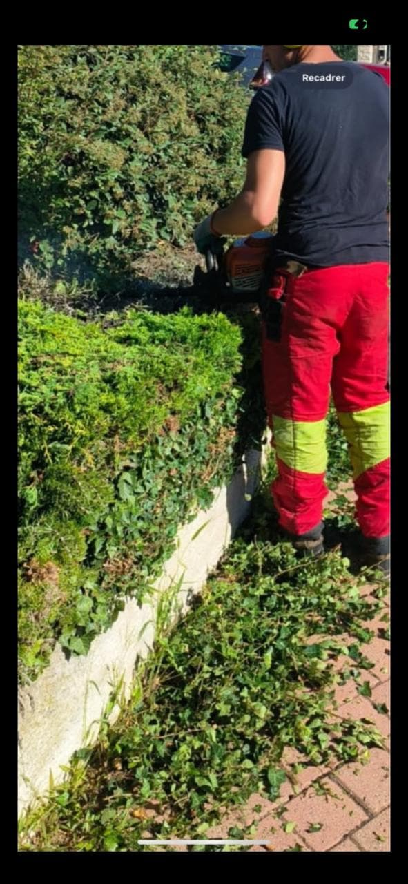 Débroussaillage d'un terrain